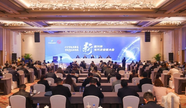 青藍(lán)接力啟新程丨潘正強(qiáng)在嘉興新生代企業(yè)家大會(huì)上談民企“傳與承”